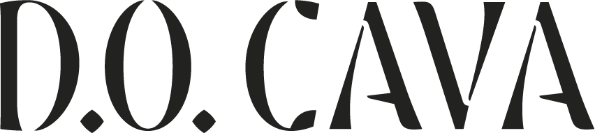 CAVA ACADEMY logo